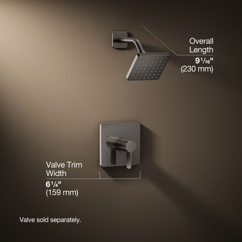 Parallel™ Rite-Temp Shower Trim, Vibrant Titanium