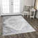 Oriental Indoor Rug