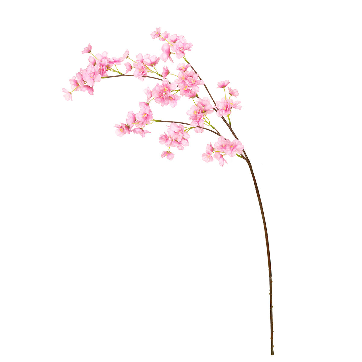 Cherry Blossom Stems, Pink