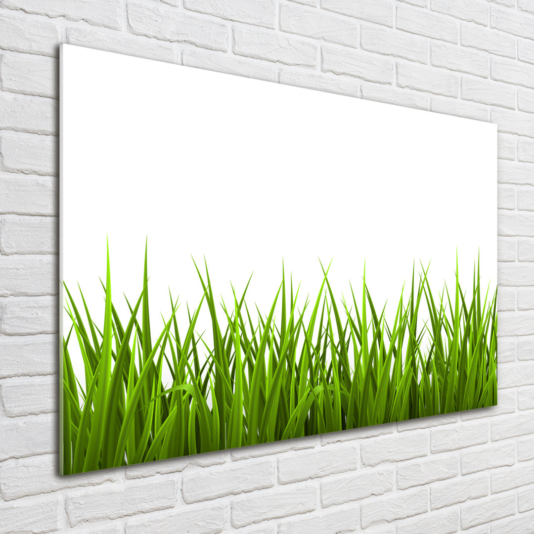 Glasbild Grass