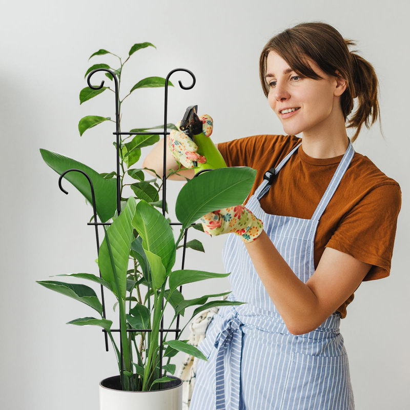 Treillis pour plantes en pot (lot de 2), grand treillis de jardin de 60 cm pour plantes grimpantes d'intérieur et d'extérieur