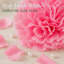 Pot de fleurs en soie-1087967484