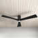 Olivier Ceiling Fan with LED Lights
