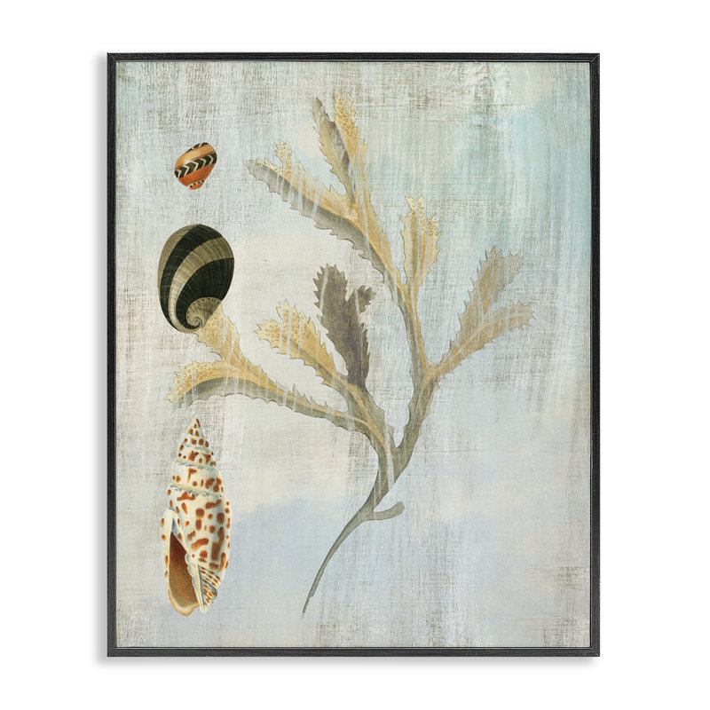 Giclée encadrée de coquillages et de coraux mélangés, conception de Susan Arnot, H 14 po x l 11 po