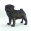 Figurine Arpi