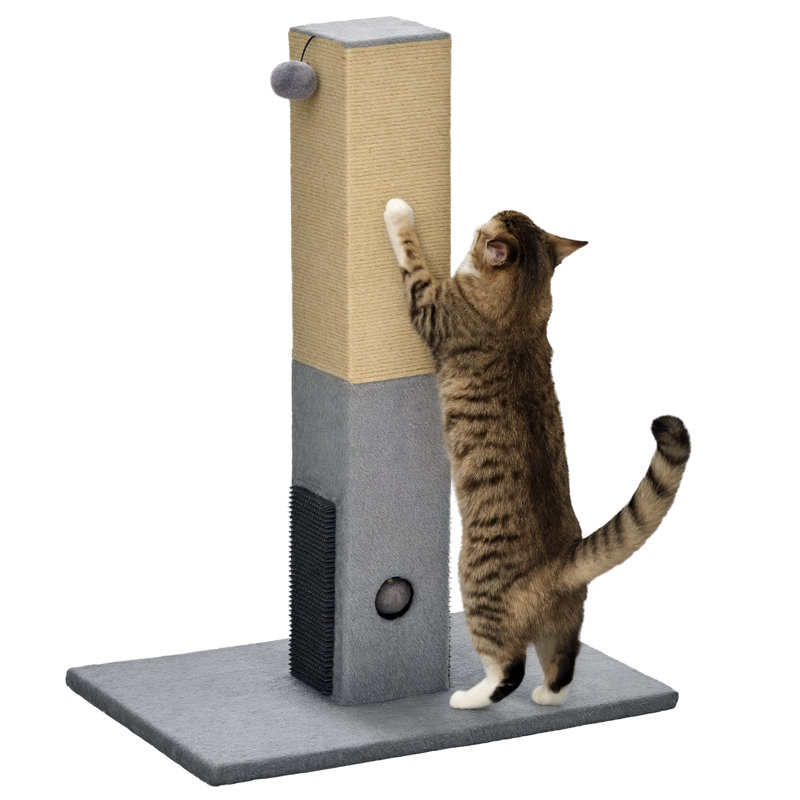 Grattoir pour chat, chat 31 po pour chats d'intérieur, gris