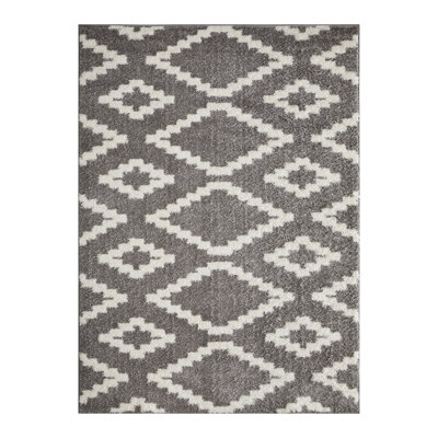 Ishrana Performance Geometric Indoor Rug
