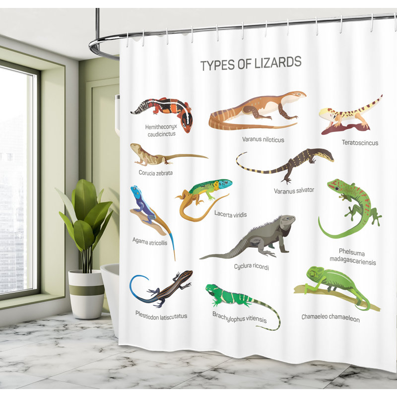 Ensemble de rideau de douche Reptile + crochets, H 75 po x l 69 po
