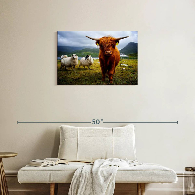 Brampt Highland Cow and Friends, H 20 po x l 30 po