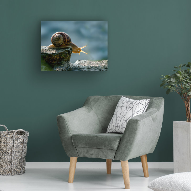 Art sur toile «boline Dmitry Skvortsov», H 14 po x l 19 po