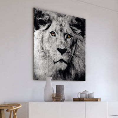 " King Of The Jungle "