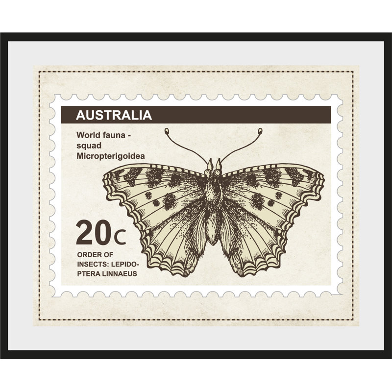 Butterfly - Single Picture Frame Print, 60 cm H x 50 cm W