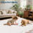 Floral Scalloped Non Slip Washable Area Rug for Living Room Bedroom, Low Pile  Thin Solid Home Decor Carpet-1132928151-1132928150