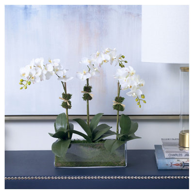 Phalaenopsis Orchids in Glass Rectangle Vase