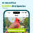 Birdfy 2 Smart Bird Feeder with Camera, 1080P HD, AI Bird Recognition, Wireless, Weatherproof, Eco-Friendly Design, Easy Installation, Live Sharing & Cloud Storage