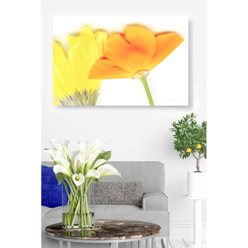 Fleurs orange et jaunes, sur blanc, pétales, vert, photo, H 24 po x l 36 po x P 1,5 po