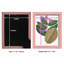 Fall Foliage III, reproduction d'art encadrée-90582653-90582657