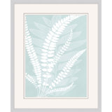 Delicate Fern Assimilation 2 Print