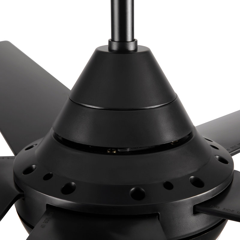 48" Modern Contemporary  Led Ceiling Fan With Remote Control, Black, Black