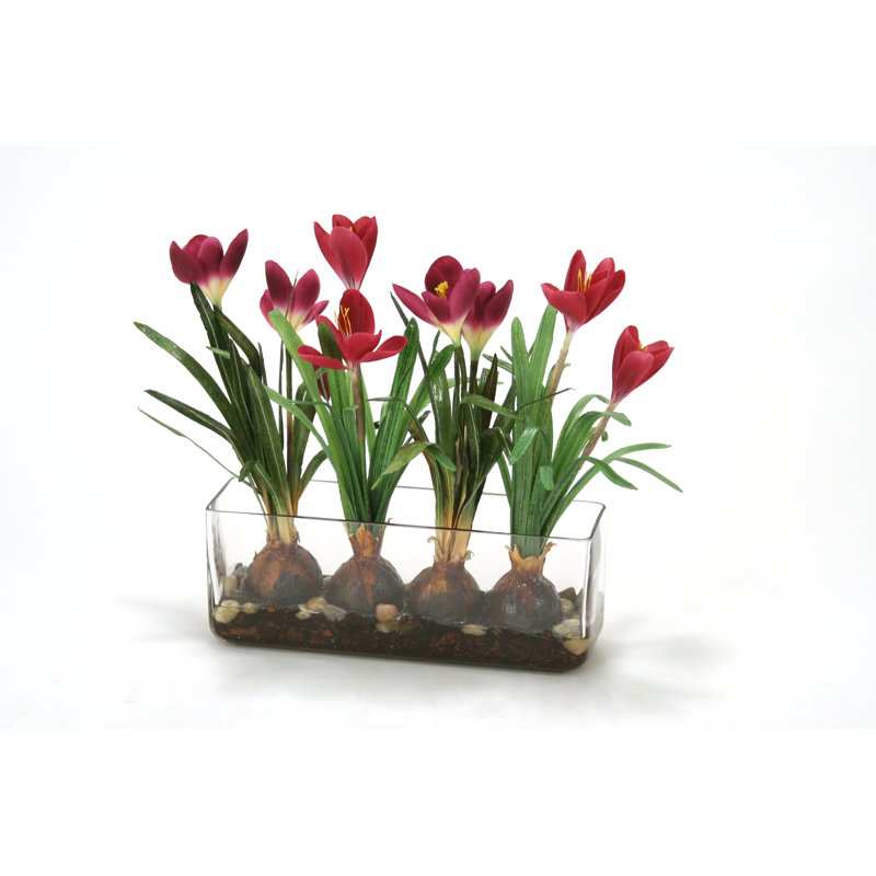 Arrangement floral dans un vase en verre