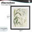 «Soft Snowdrop Stems», reproduction encadrée sous verre, design par June Erica Vess-1545217844-1545217847