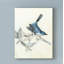 « rustique volière iii », reproduction d’impression sur toile tendue-33423990