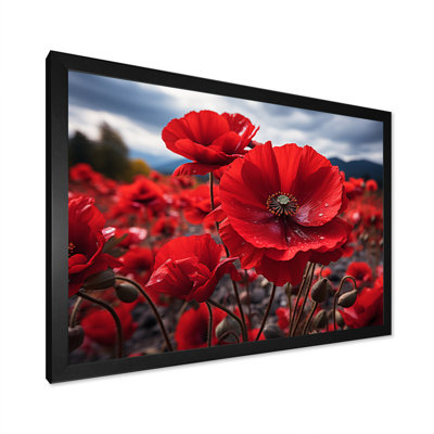 Flower Field Crimson Poppies - Floral Wall Art Prints