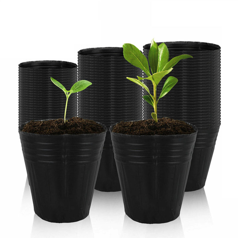 Demitrius Nursery Pot, 2" H x 2.56" W x 2.56" D