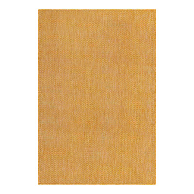 Indoor / Outdoor Rug