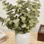 Branche d'eucalyptus artificiel Audet (1 tige)-1336703816