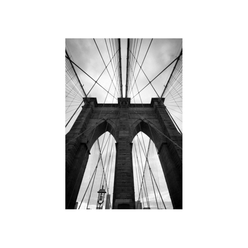 Concrete Jungle V Print by Sofia Fox, Outdoor, 35" H x 24" W