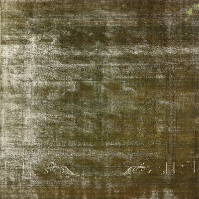 Ping Oriental Indoor Rug