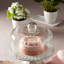 Ensemble de 3 pots à fines herbes et plateau Lenox French Perle