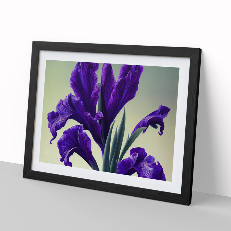 Inspiring Iris Flowers - Single Picture Frame Print, 34cm H x 46cm W x 2cm D, Black