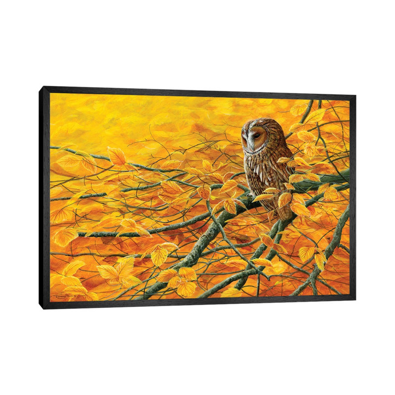 Golden Light Tawny Owl by Jeremy Paul - Painting on Canvas, 66.04cm H x 101.6cm W x 3.81cm D, Black Framed