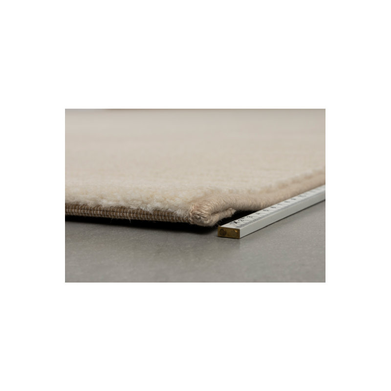 Shore Area Rug, Rectangle 5'3" x 7'7"