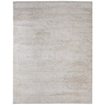 Clair Modern Distressed Area Rug