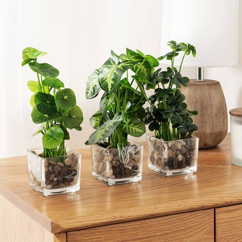 Ensemble de 3 plantes à feuilles persistantes artificielles en terrarium