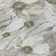  Emblyn Area Rug