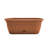 Lucca Self-Watering Plastic Indoor/Outdoor Oval Window Box Planter with Watering Basin-1023901874