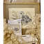  Counted Cross Stitch Kit White Owl R1241