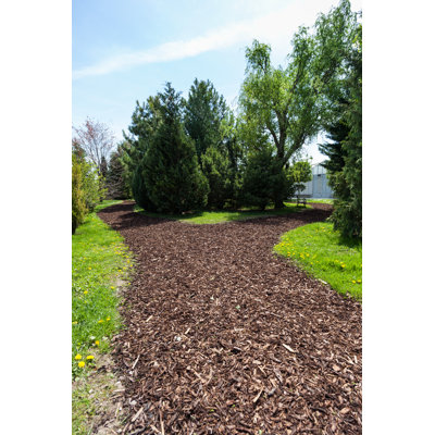 " Garden Path "
