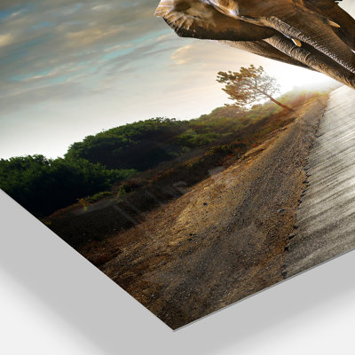 «Single Walking Elephant», reproduction de photo sur toile tendue