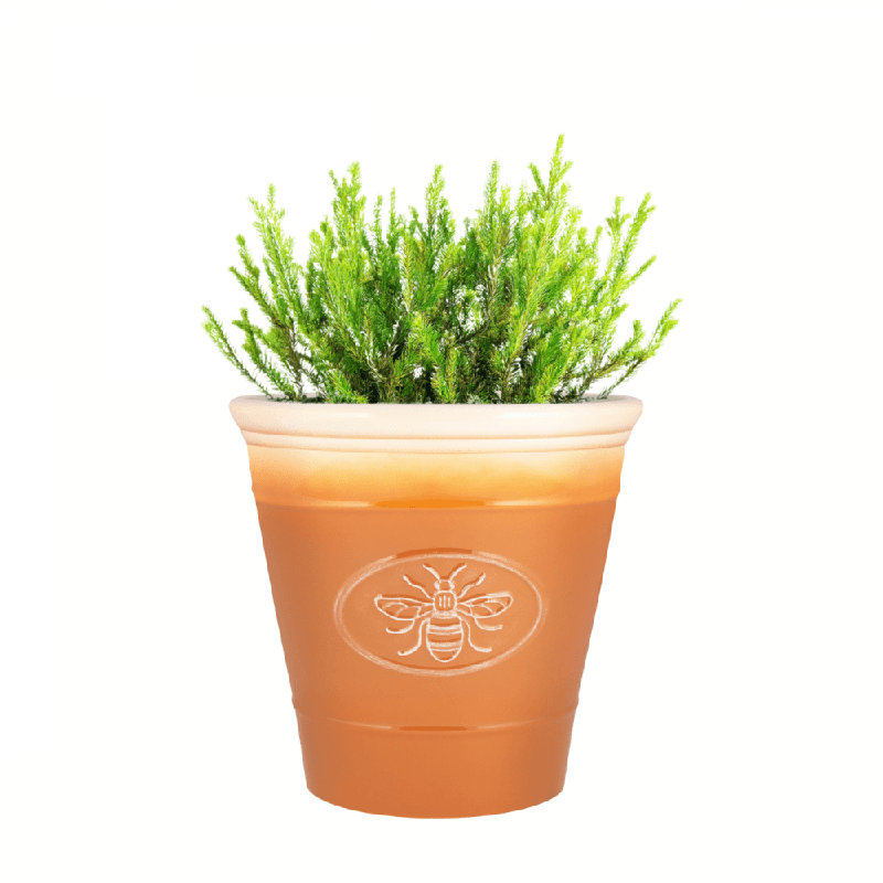 Pot Planter, 30.7cm H x 30cm W x 30cm D, Yellow