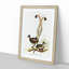 Lyrebird by Elizabeth Gould - Framed Print-55577443-55577440