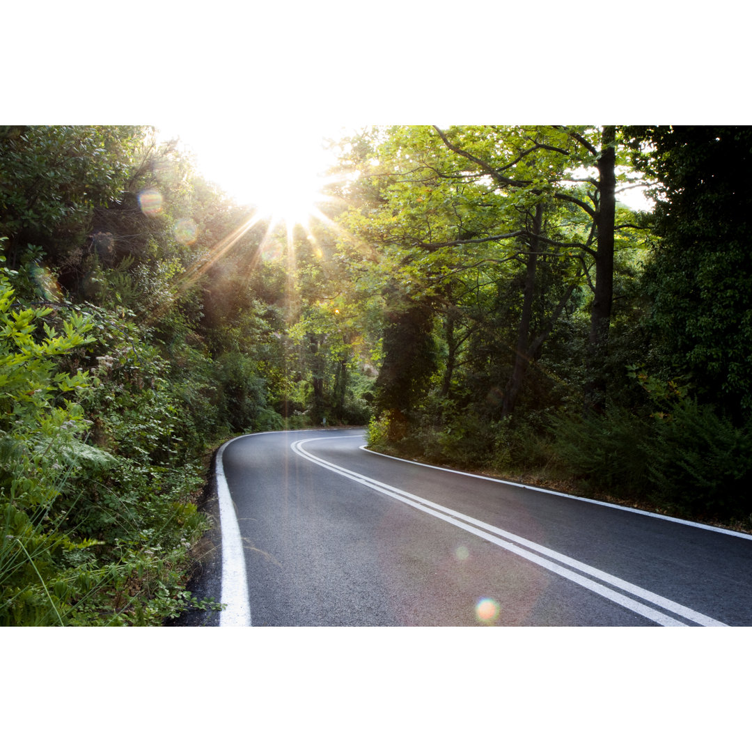 Sonnenbeschienener Waldweg in Griechenland