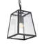 1 - Light Matte Black Lantern Pendant