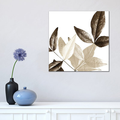 Chocolate Leaves II by Kimberly Allen - Wrapped Canvas Print