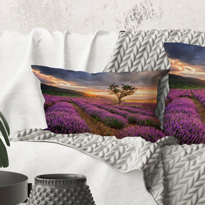 Rectangle, lever de soleil et nuages dramatiques au-dessus du champ de lavande - coussin décoratif imprimé campagne