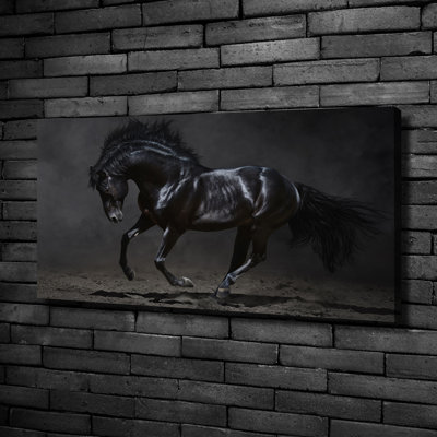 Black Horse - Wrapped Canvas Print